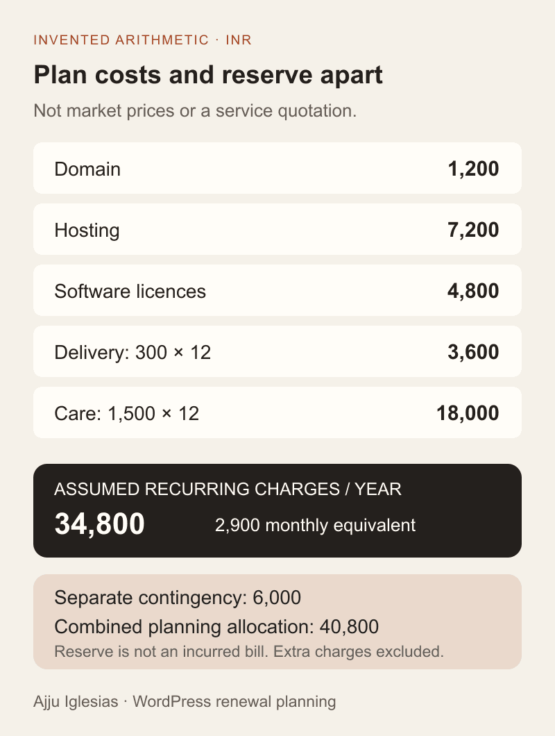 Invented annual budget: domain 1200, hosting 7200, software 4800, delivery 3600 and care 18000 total 34800 rupees. A separate 6000 reserve brings the planning allocation to 40800.